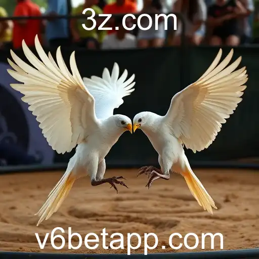 Security and Trust v6 bet - International Licenses and Certifications